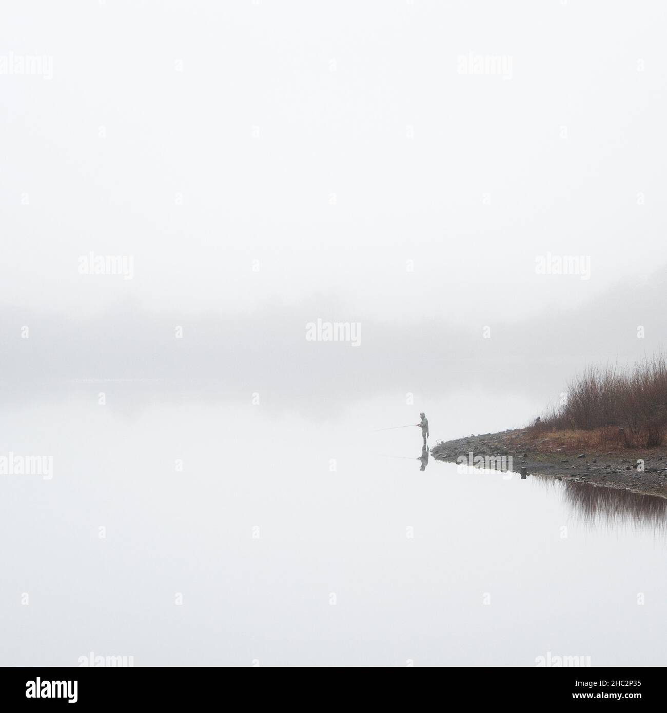 A lonely angler is captured within the empty landscape of Fewston Reservoir on a misty December morning, surrounded by peaceful emptiness. Stock Photo