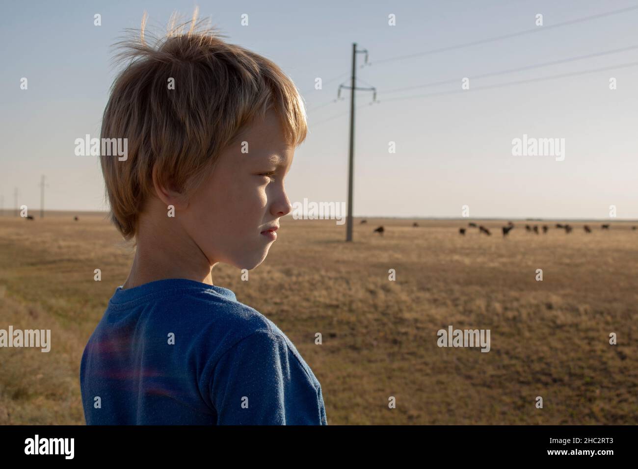 A child looking at steppe with cows, young traveller Stock Photo