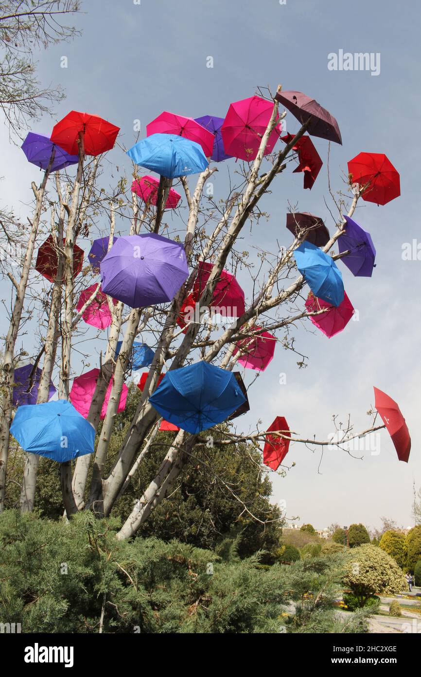 A view of the umbrellas Stock Photo Alamy