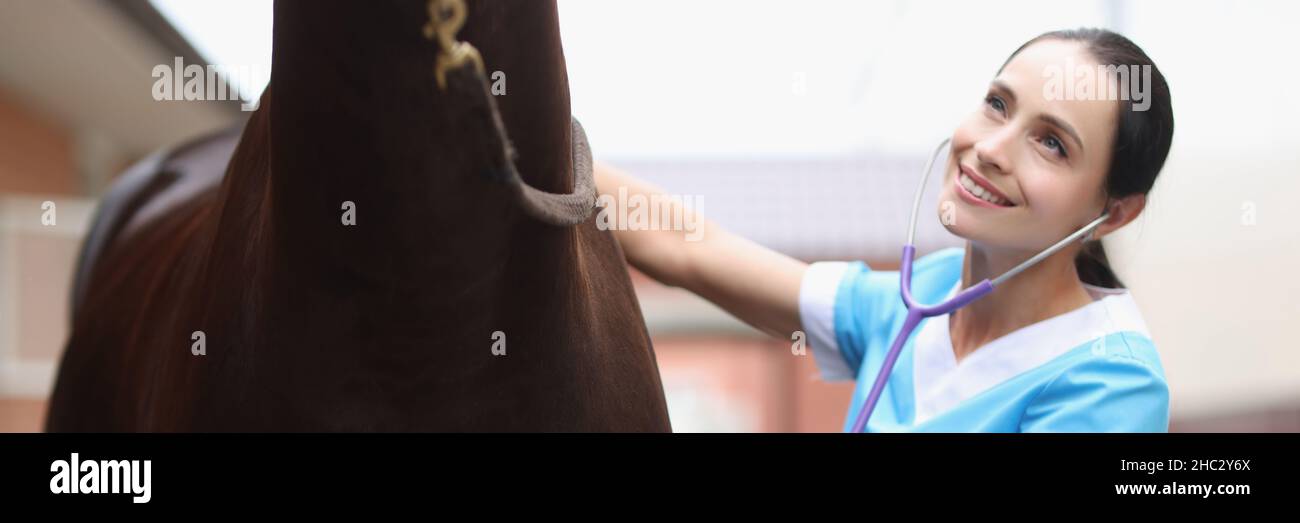 Cattle ranch woman horse hi-res stock photography and images - Alamy