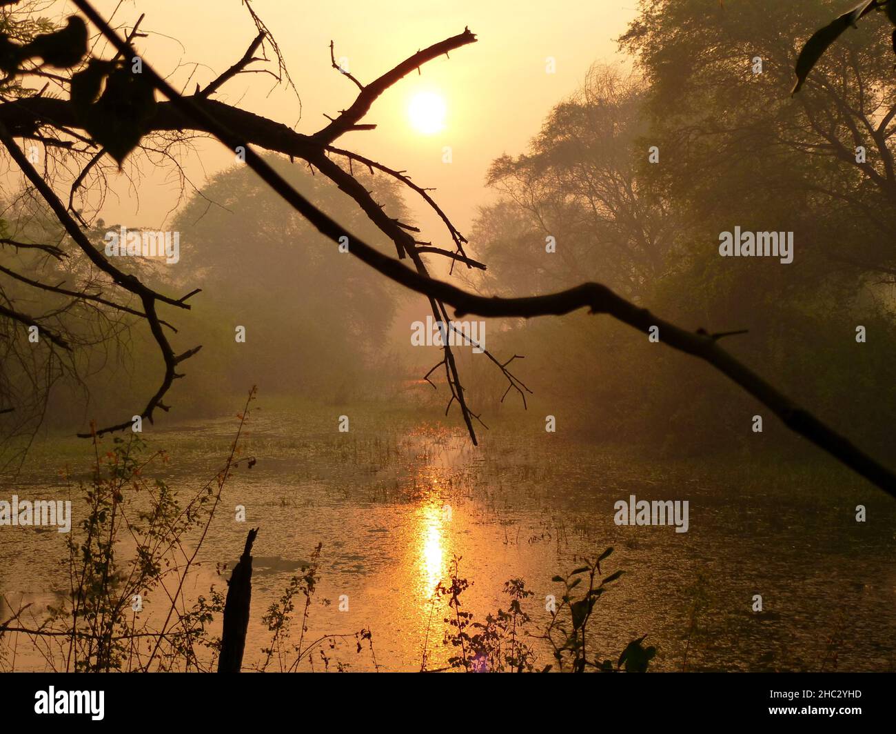 Ghana forest reserve hi-res stock photography and images - Alamy