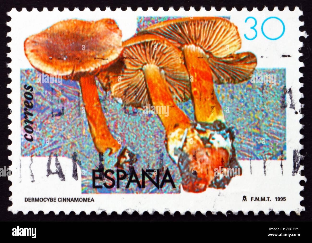 SPAIN - CIRCA 1995: a stamp printed in the Spain shows Dermocybe Cinnamomea, Mushroom, circa 1995 Stock Photo