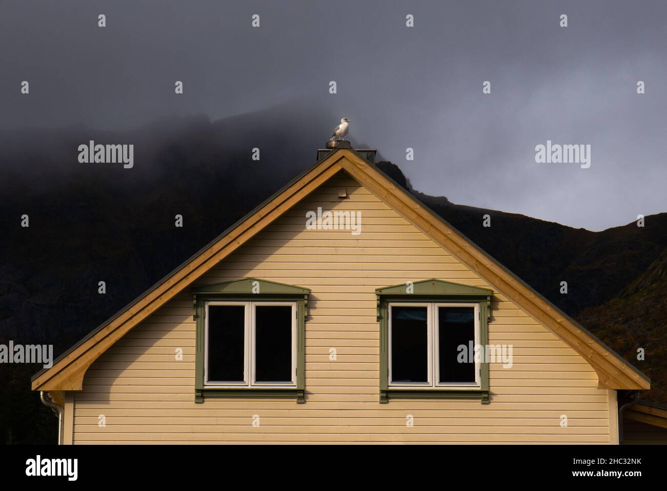 typical norway house from lofoten with a seagul on the top of the roof Stock Photo