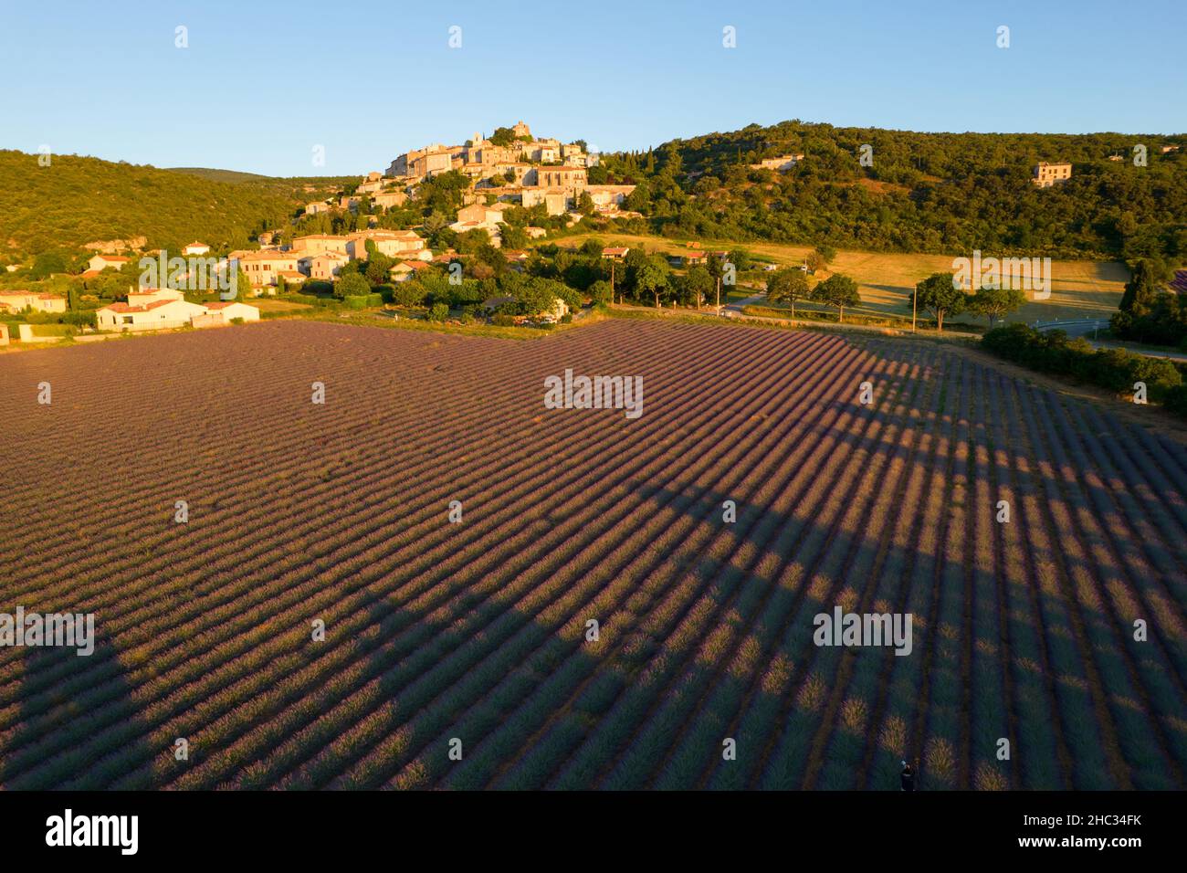 vue aérienne d'un champs de lavande au pied d'un village provençal Stock Photo