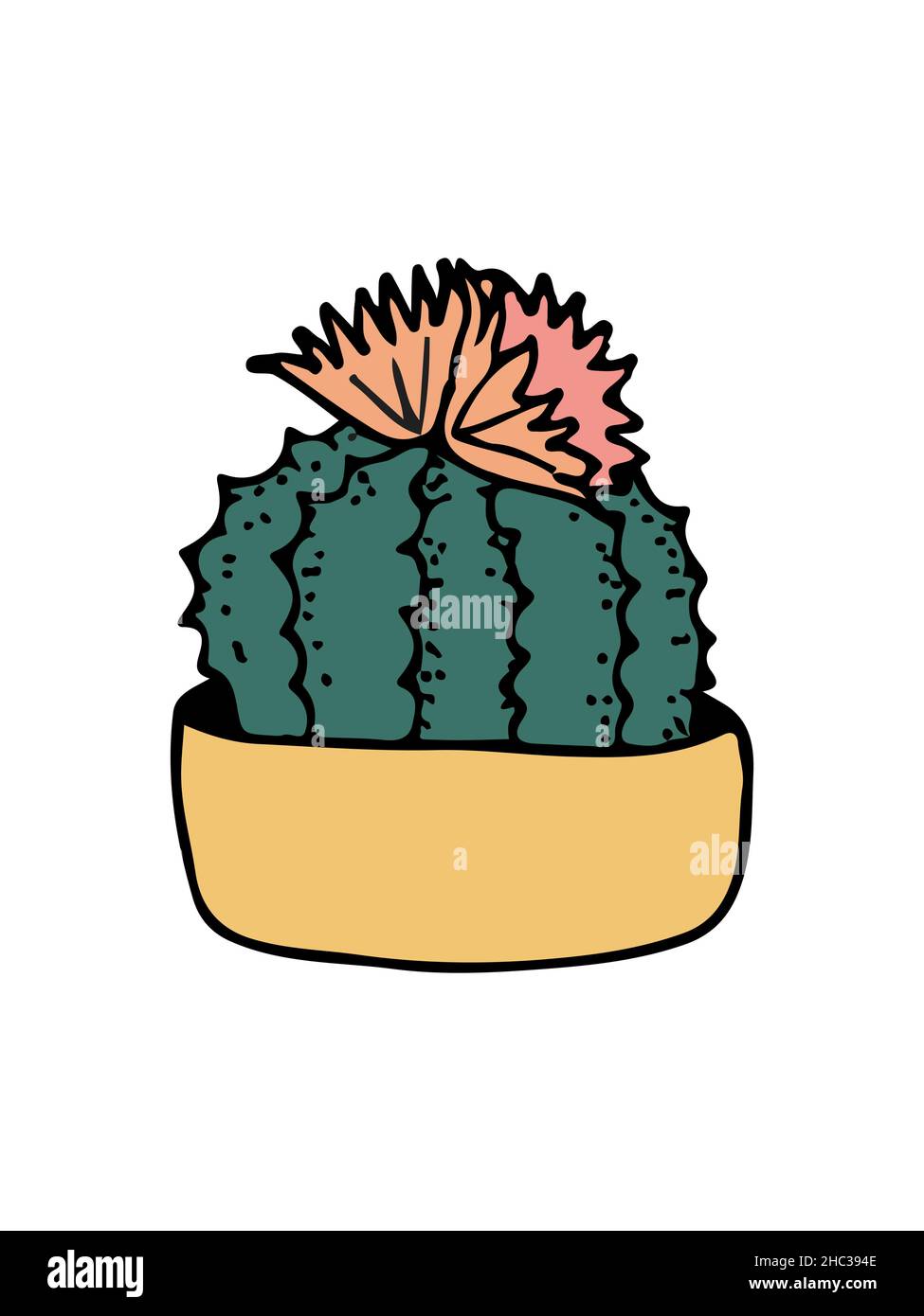 doodle illustration cactus on white Stock Vector Image & Art - Alamy