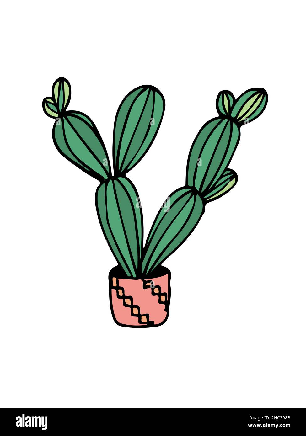 doodle illustration cactus on white Stock Vector Image & Art - Alamy