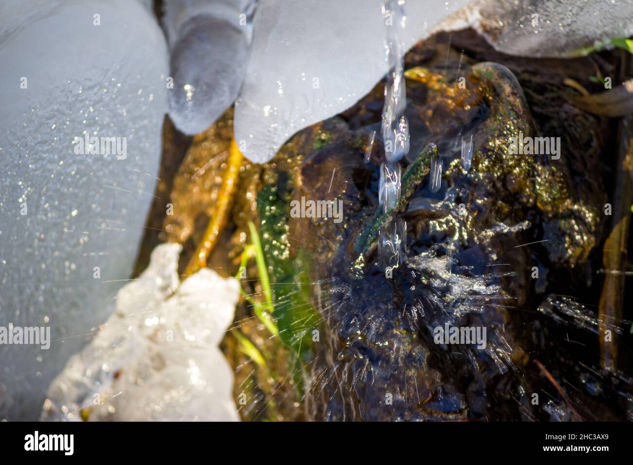 Beautiful splashing of falling water from the spring Stock Photo - Alamy