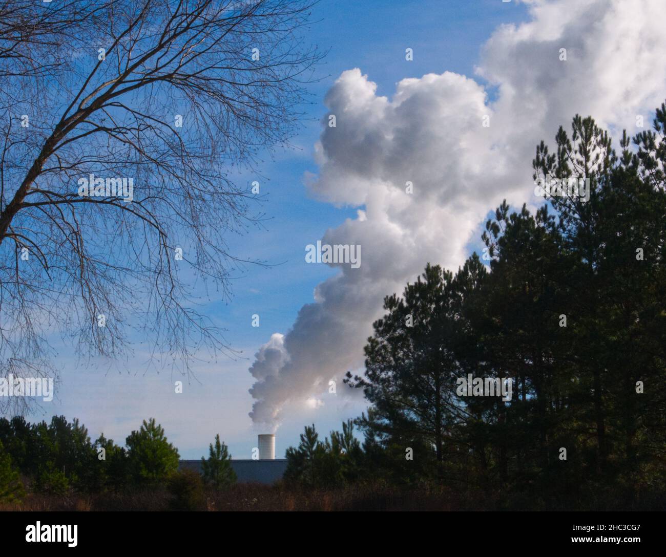 Pollution, thick smoke coming out from a chimney behind trees line. Stock Photo