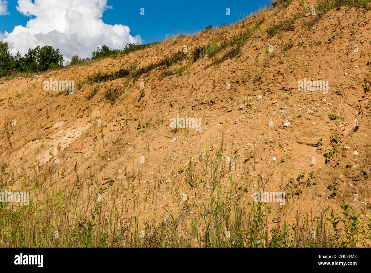 Sandy slope several meters high, the edge of a sand pit Stock Photo