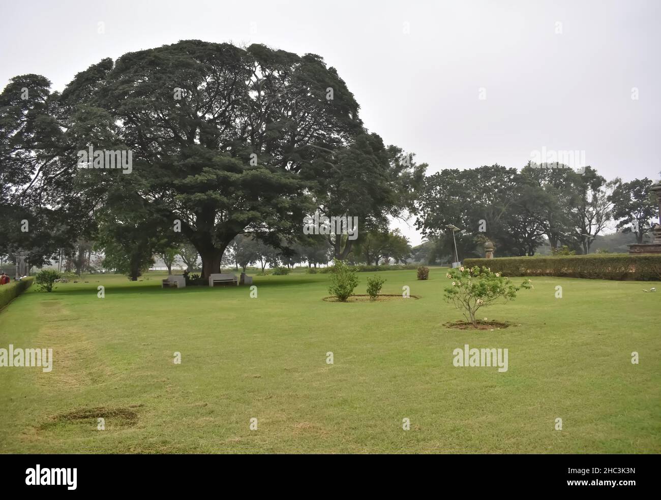Huge green lawn park hi-res stock photography and images - Alamy