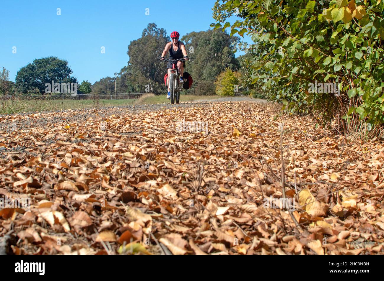 Cycling on the Great Victorian Rail Trail Stock Photo Alamy