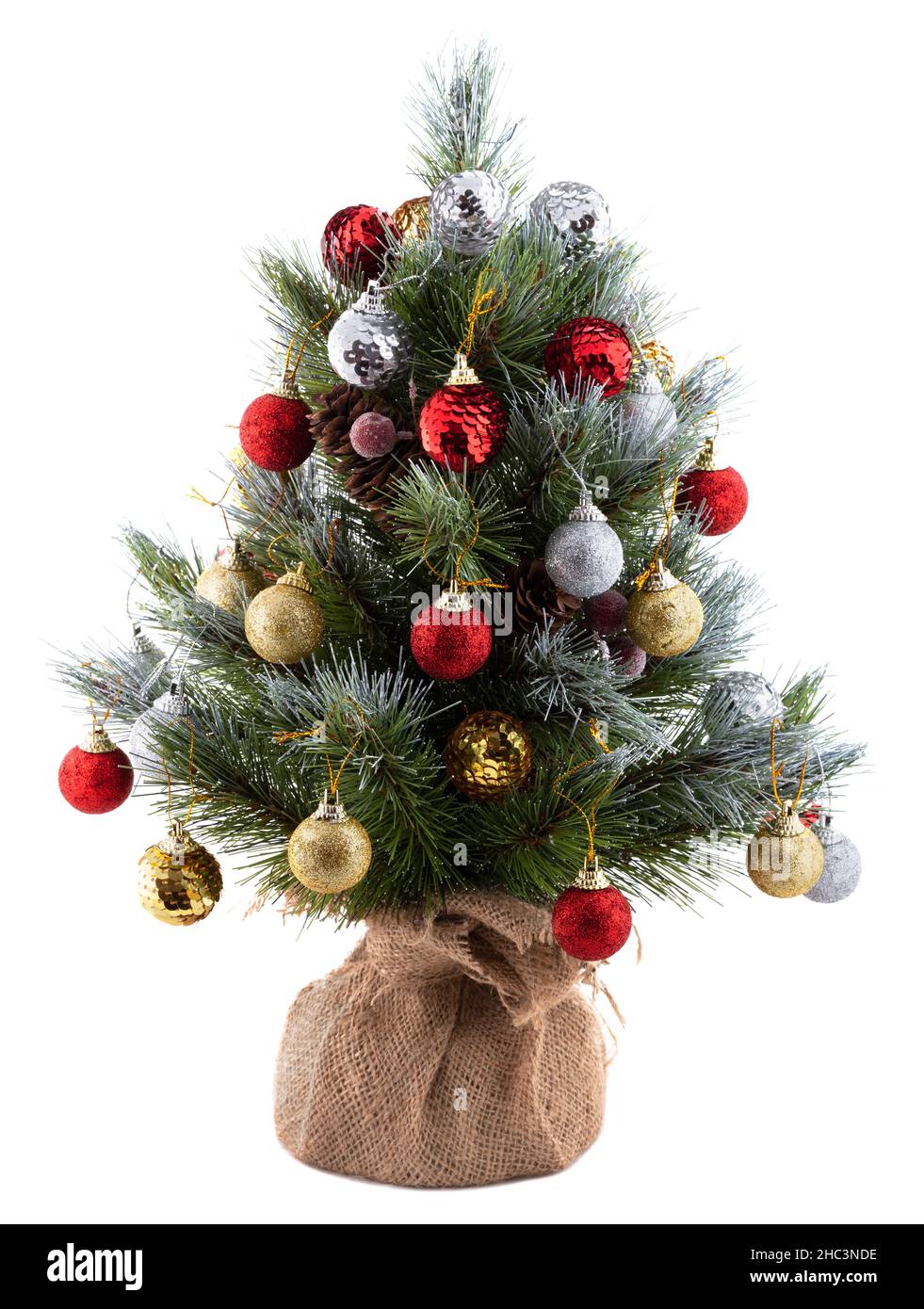 Pretty bushy Christmas pine tree in a pot wrapped in cloth. Decorated