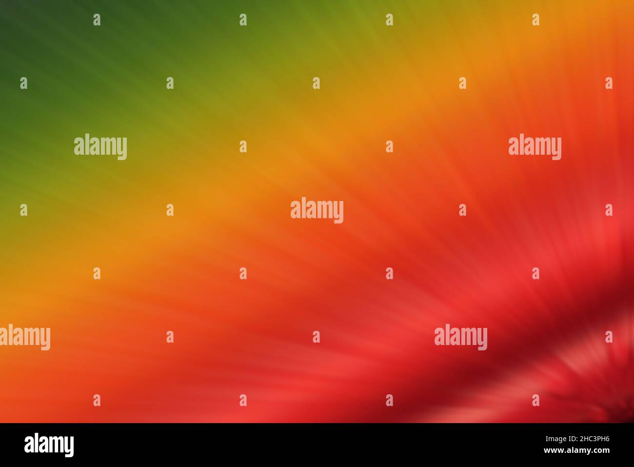 A bright pattern with colorful and blurred lines Stock Photo