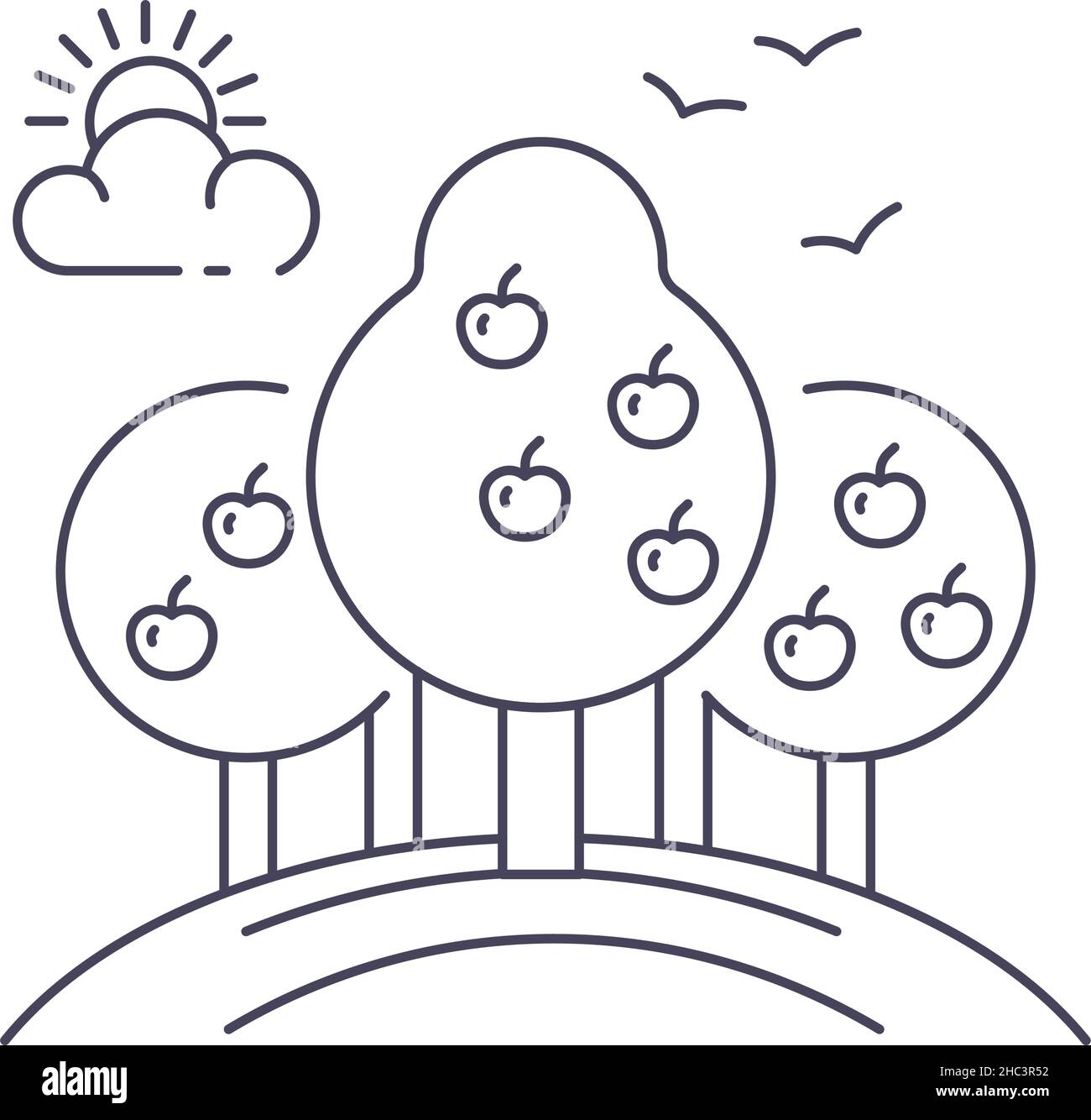 Apple trees in garden or orchard, harvesting farm Stock Vector Image