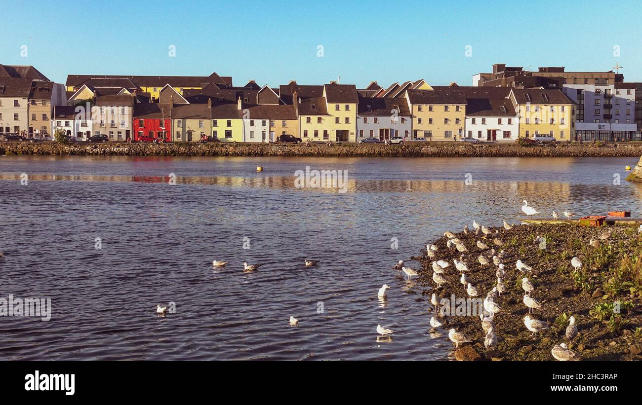 Colorful Housing in Galway Ireland Stock Photo Alamy