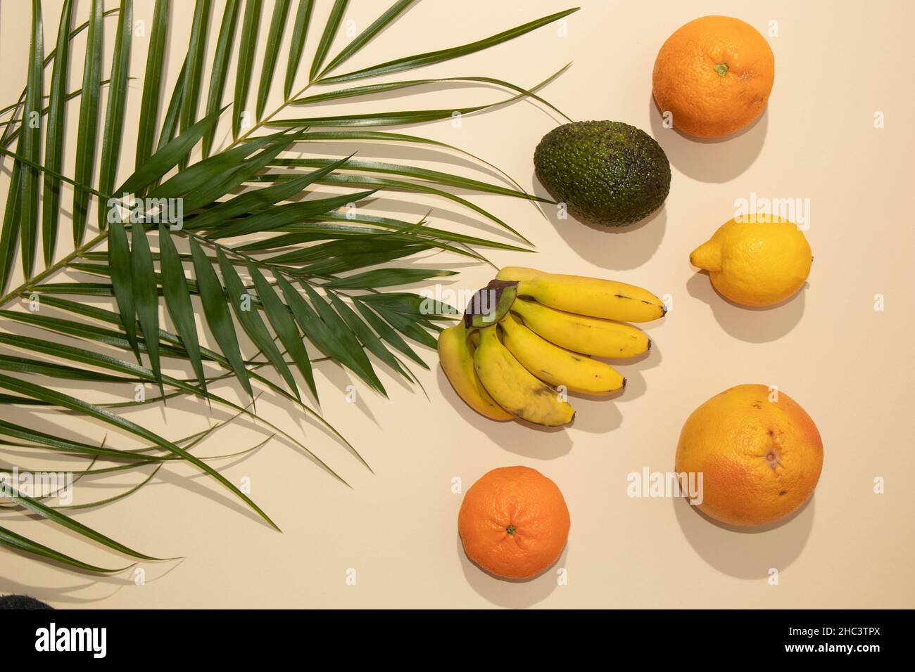 Summer tropical layout made with fresh fruit and green palm leaves on ...