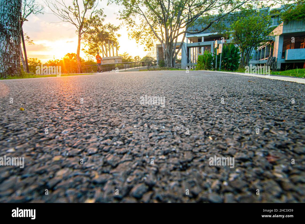 Asphalt walk and running pathway in green city park sunset nature ...
