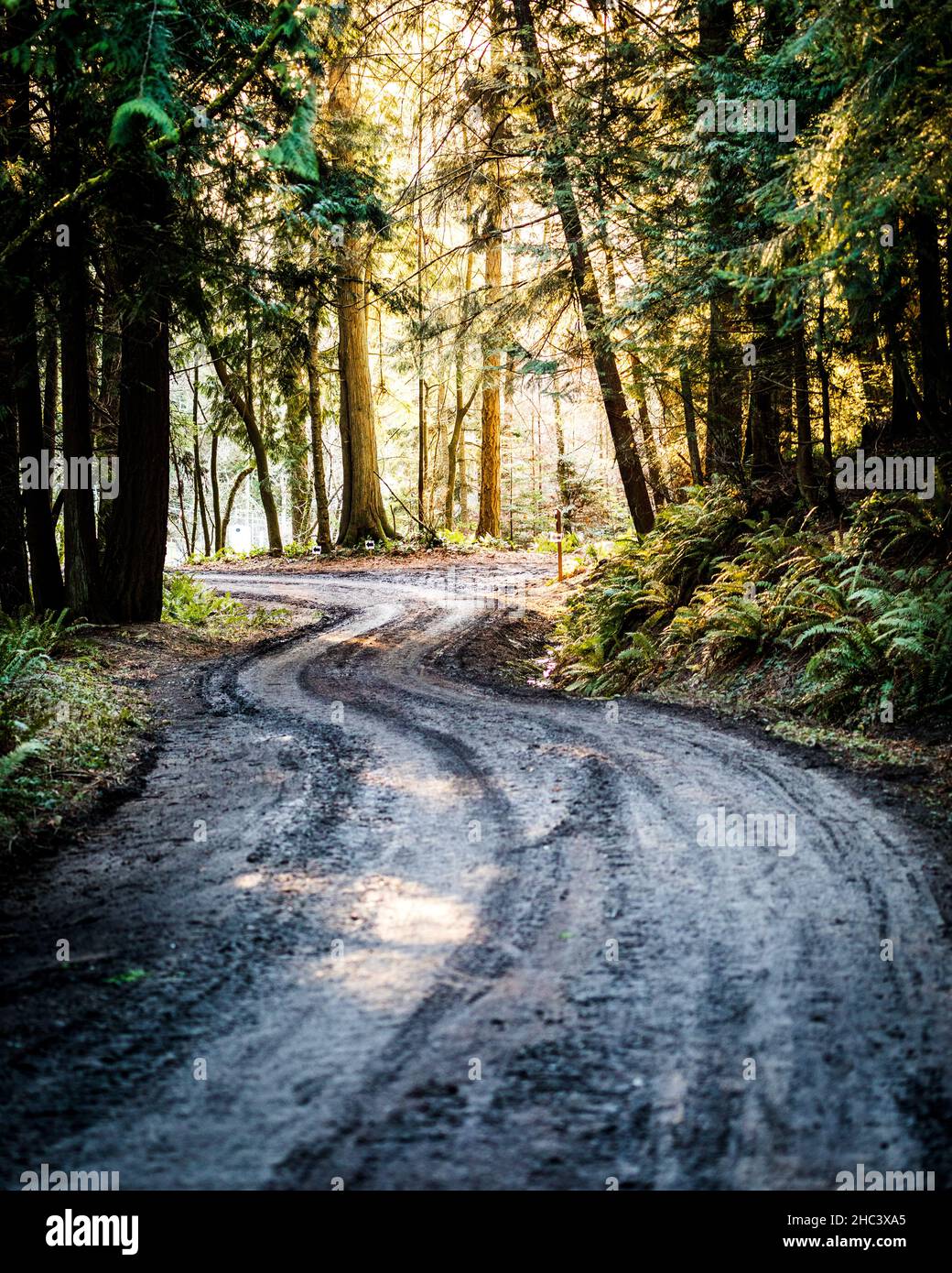 Vertical shot road hi-res stock photography and images - Alamy