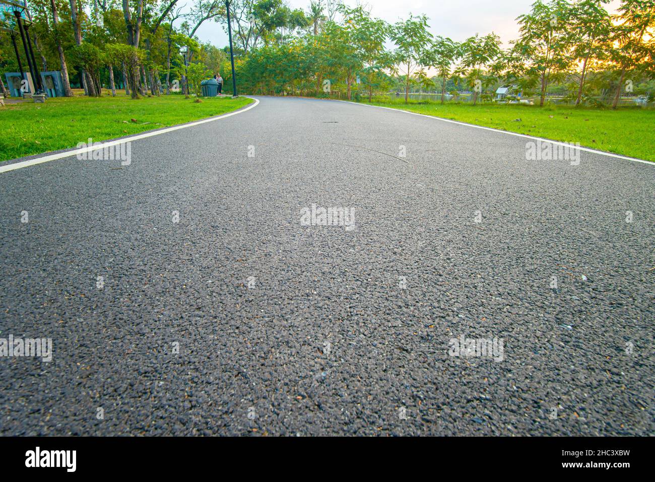 Asphalt walk and running pathway in green city park sunset nature ...