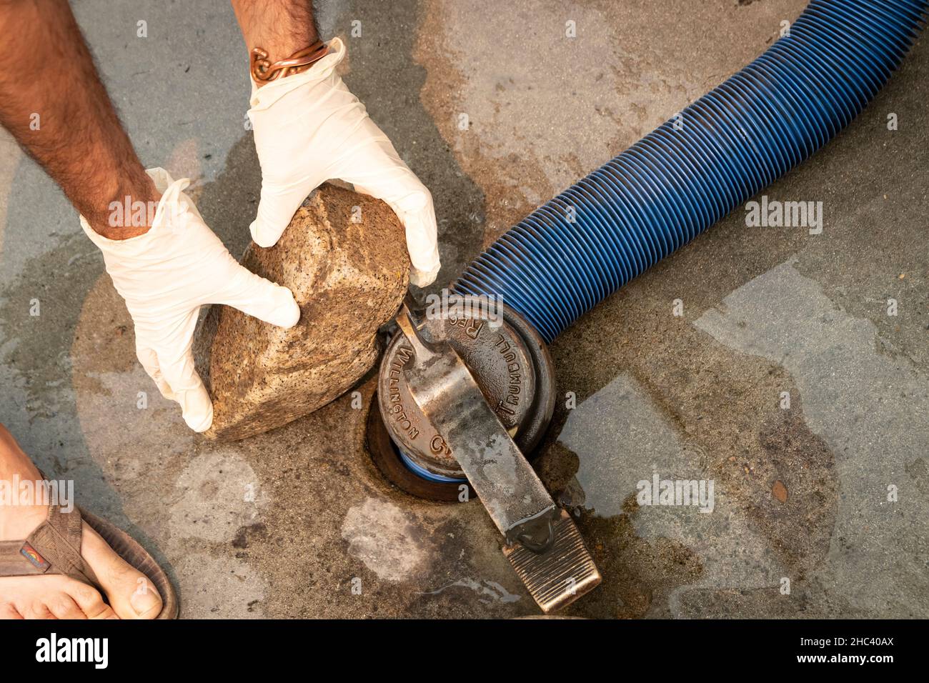 Placing weight on sewer hose at RV dump station hole, to dump wastewater and sewage Stock Photo