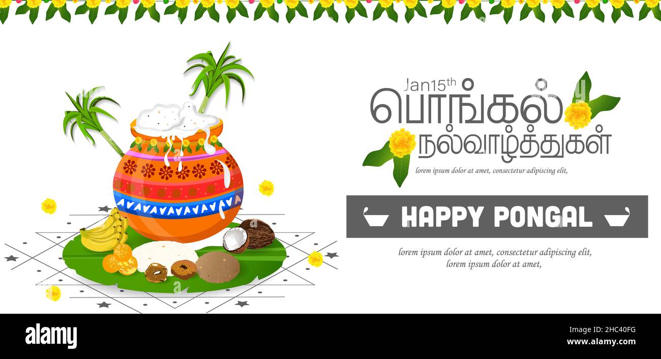 illustration of Pongal Festival Offer Banner Design and Happy pongal