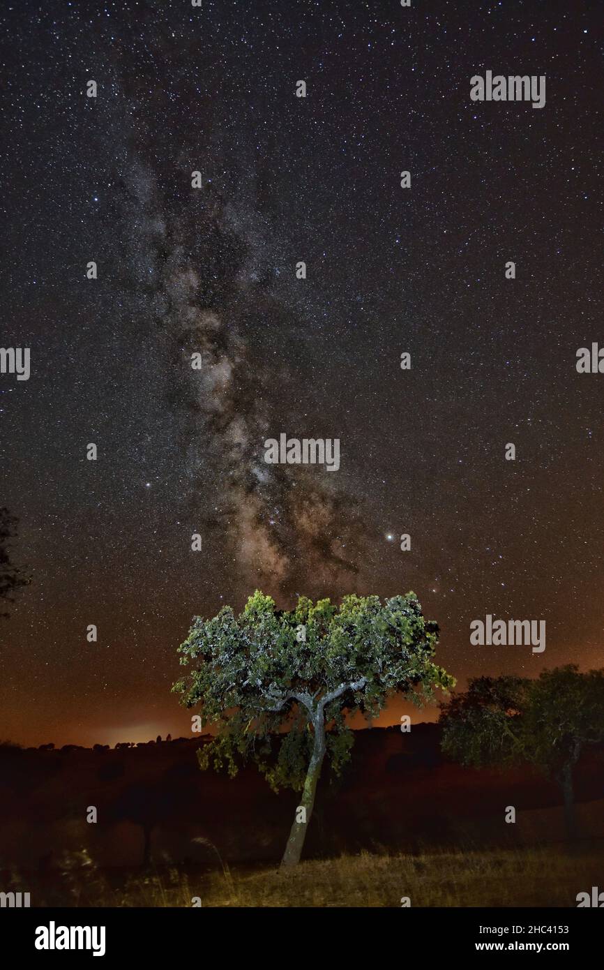 Vertical shot of the milky way in the night sky captured in Portugal ...