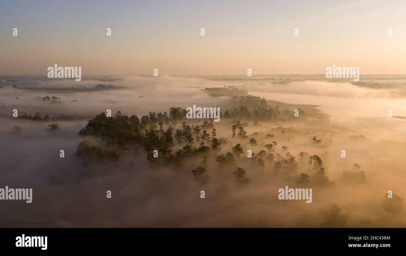 Aerial view foggy plantation in hi-res stock photography and images - Alamy