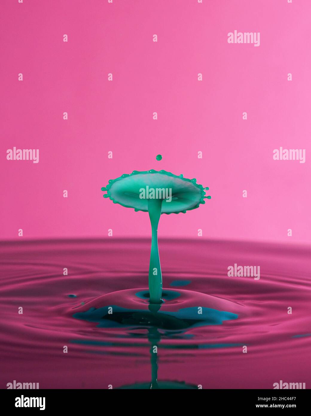 Close up of green water drops collision on a pink background. Splash of water crown on the surface. Stock Photo