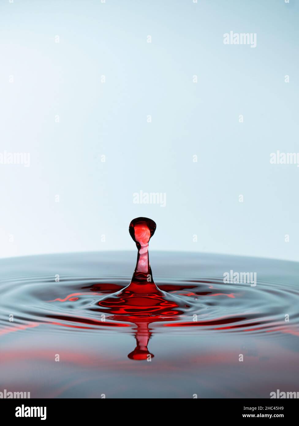 Water drop splash red colored, isolated on white background. Stock Photo