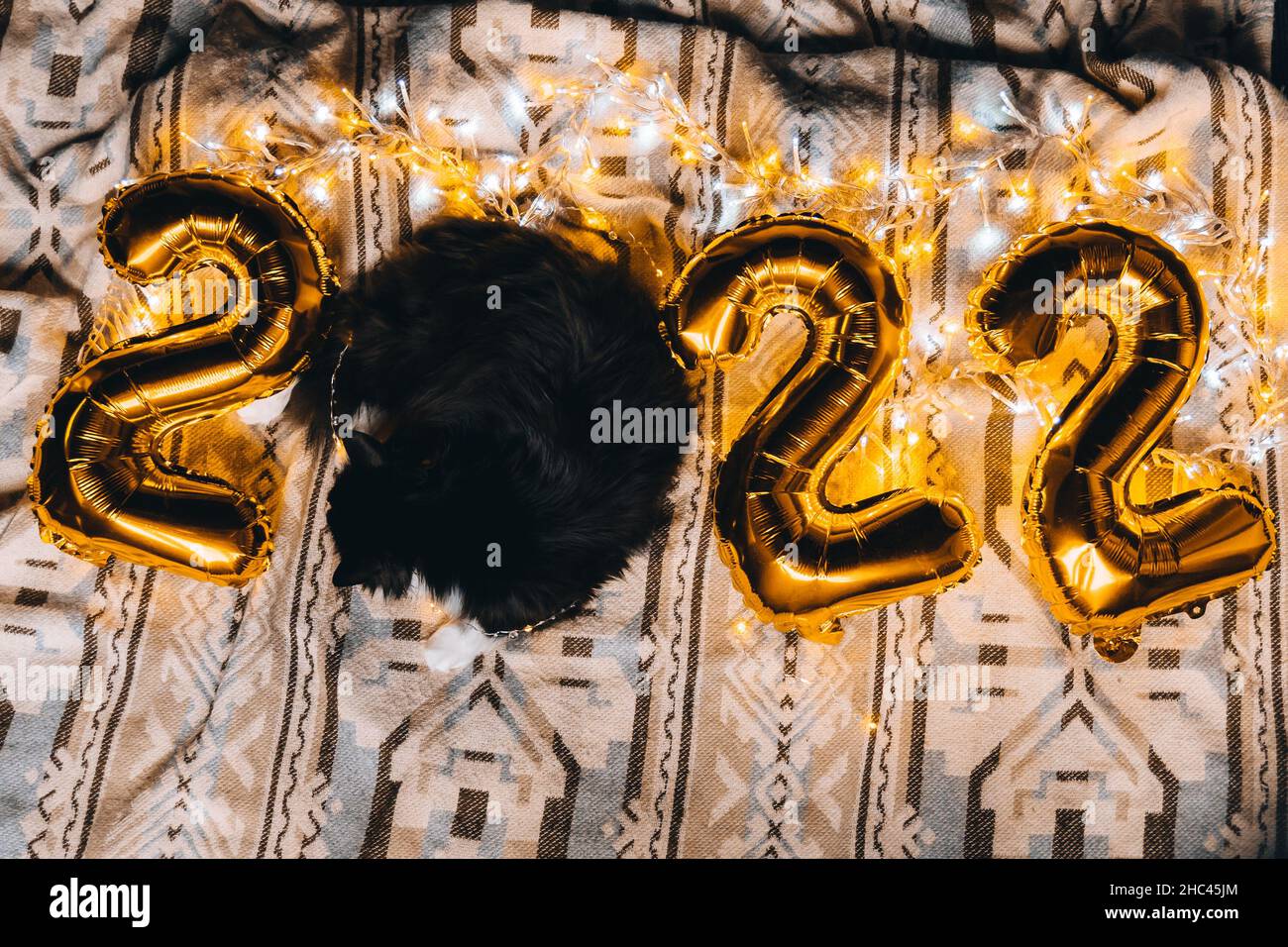 2022 Spirit Of Christmas Christmas Cat 2022. Black Cute Kitten With Gold Foil Balloons Number 2022  New Year On Festive Cozy Knitted Blanket At Sweet Home. Good New Year Spirit  Stock Photo - Alamy