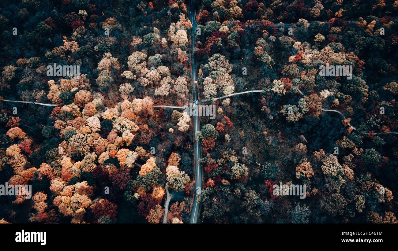 Aerial shot of a road in a forest full of colorful autumn trees Stock ...