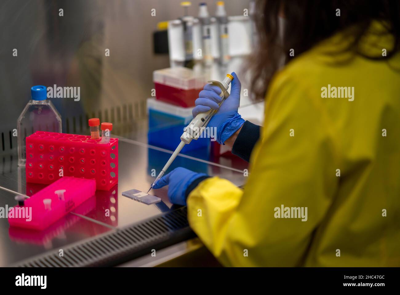 Scientist using pipette to drop liquid into an eppendorf tube Stock Photo