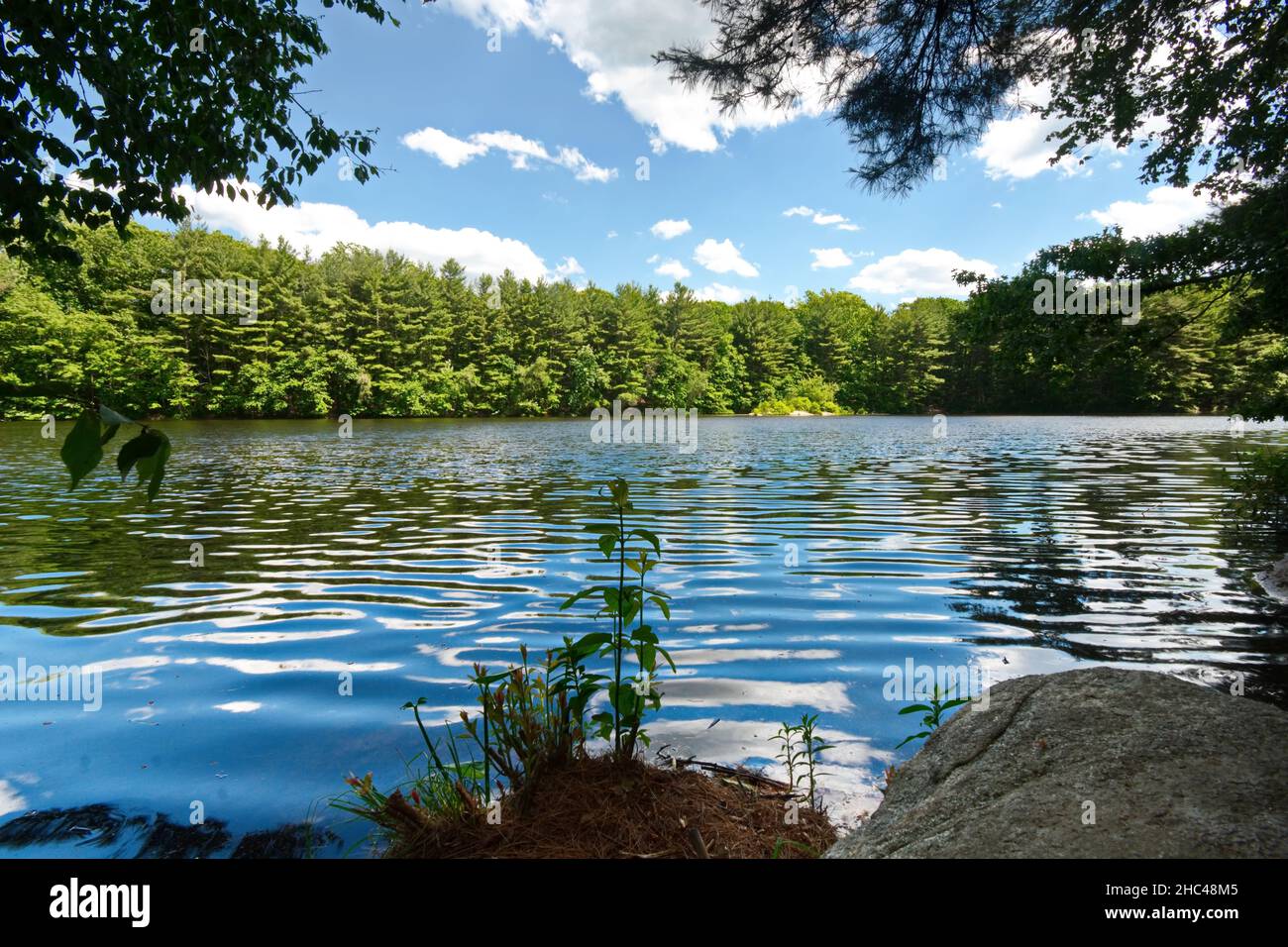 Scenic view of a lake in a forest on a sunny day in Connecticut Stock Photo
