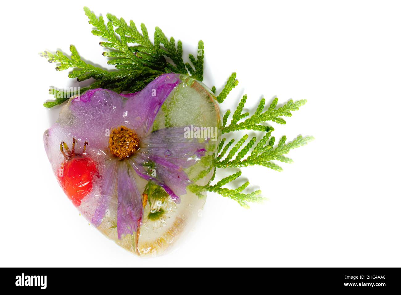 Summer flowers in the shape of an ice heart. Frozen flowers and plants
