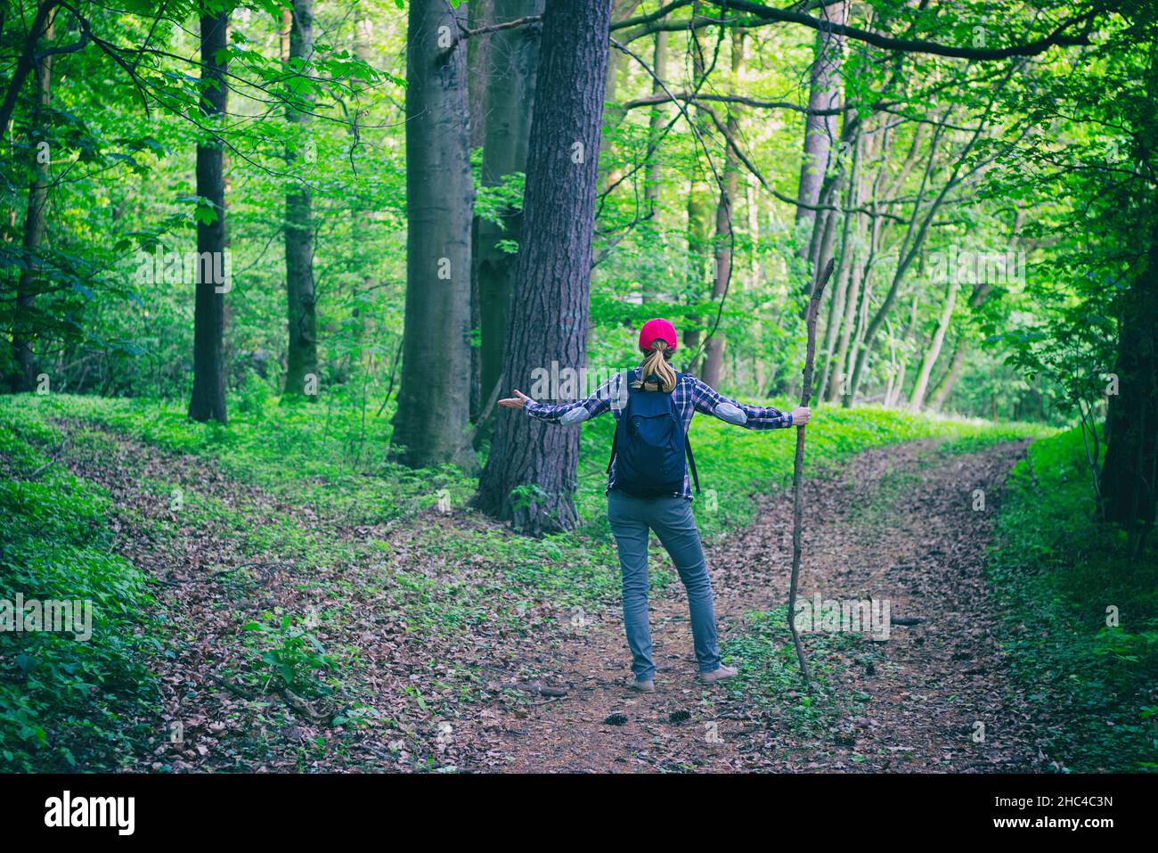 Young hiking woman does not know which way to go in green forest. A ...