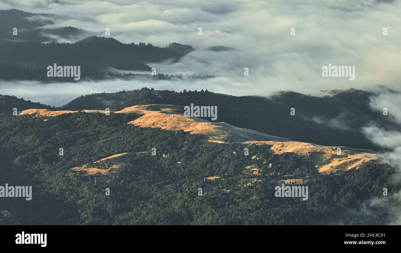 Aerial shot foggy forests hi-res stock photography and images - Alamy