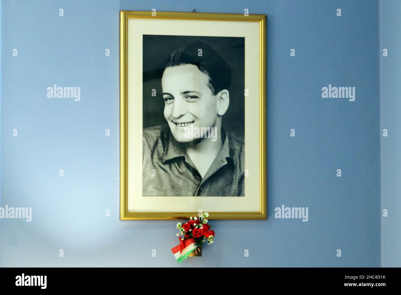 Dino ferrari son hi-res stock photography and images - Alamy