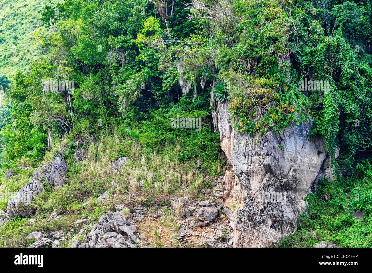Scenics in Hanabanilla Natural Reserve Cuba Stock Photo