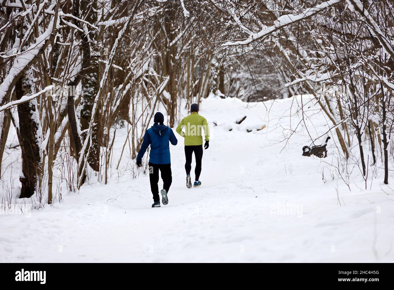 Two guys running in winter park by the snow. Workout, runners in cold season Stock Photo