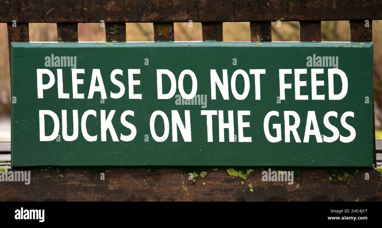 Please Do Not Feed Ducks On The Grass - wooden sign on bench background banner image Stock Photo