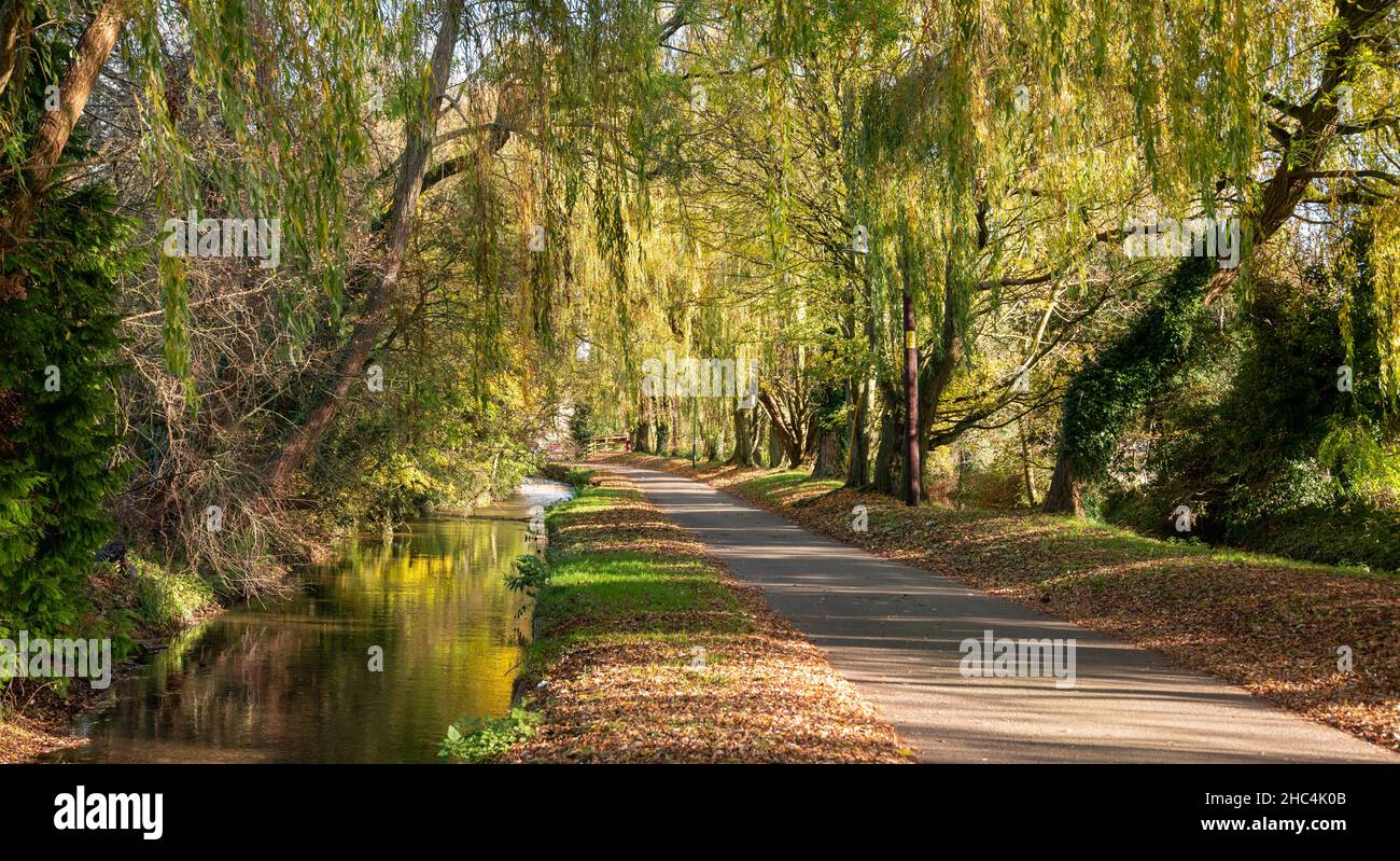 A small lane called Bow Wow running between a mill stream and the River Churn in the Cotswold village of South Cerney in Gloucestershire, England, Uni Stock Photo