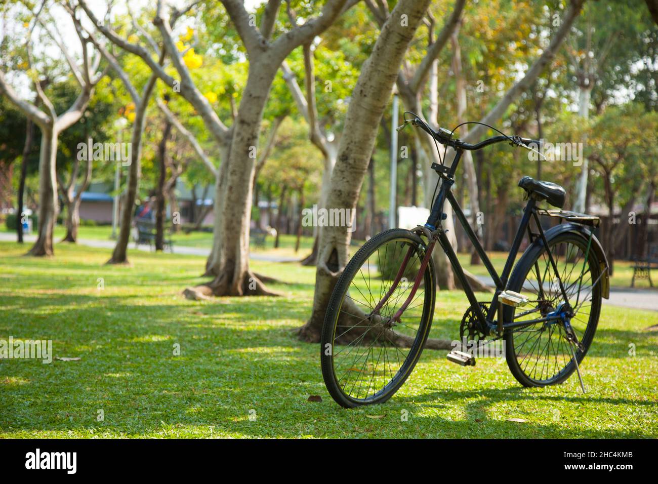 Old bicycle in the park. Parked on the lawn. Stock Photo