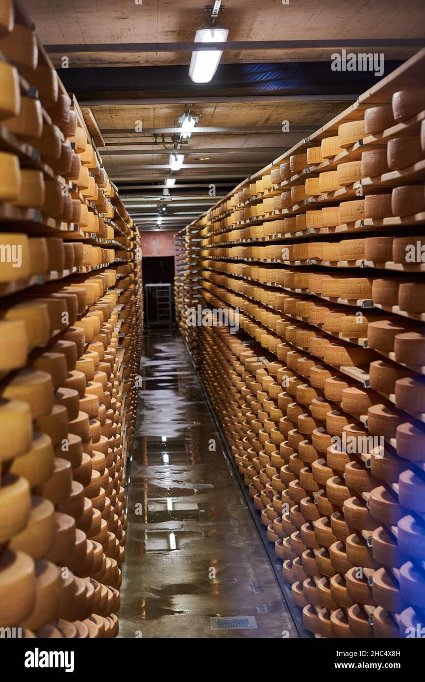 Visiting Gruyere cheese factory and museum, Switzerland Stock Photo Alamy
