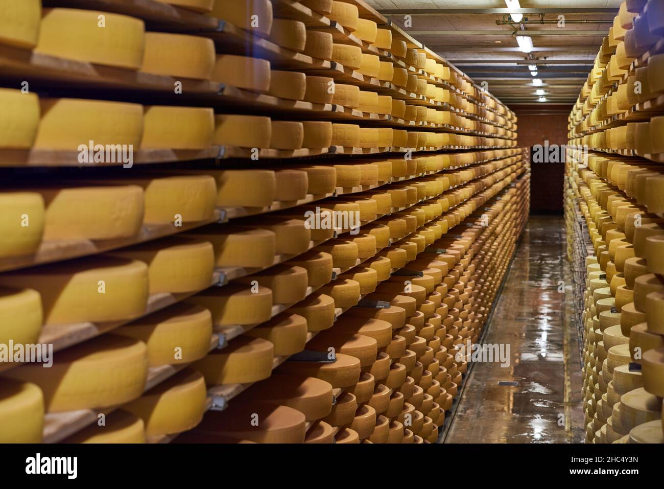 Visiting Gruyere cheese factory and museum, Switzerland Stock Photo Alamy