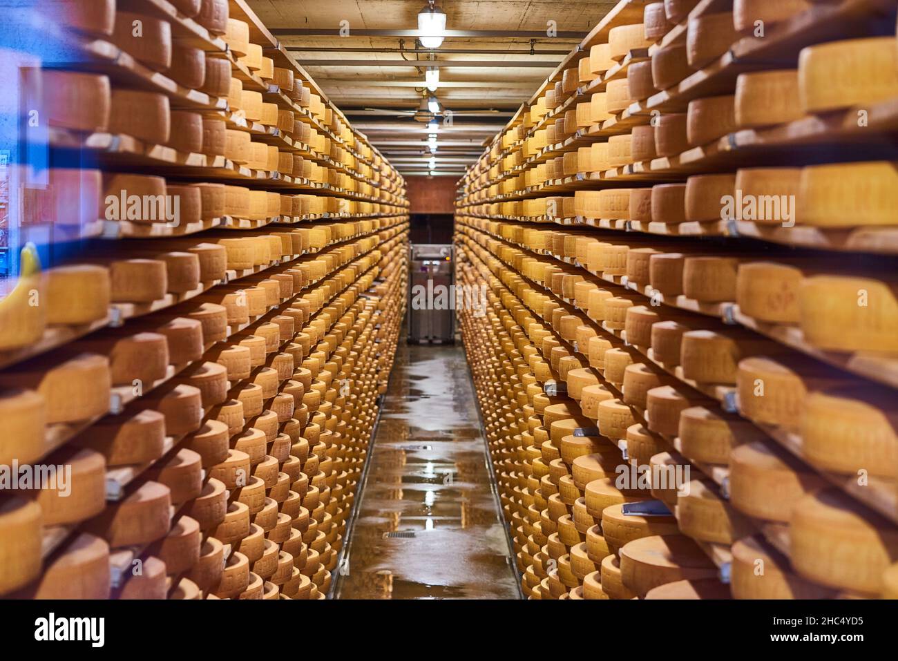 Visiting Gruyere cheese factory and museum, Switzerland Stock Photo Alamy