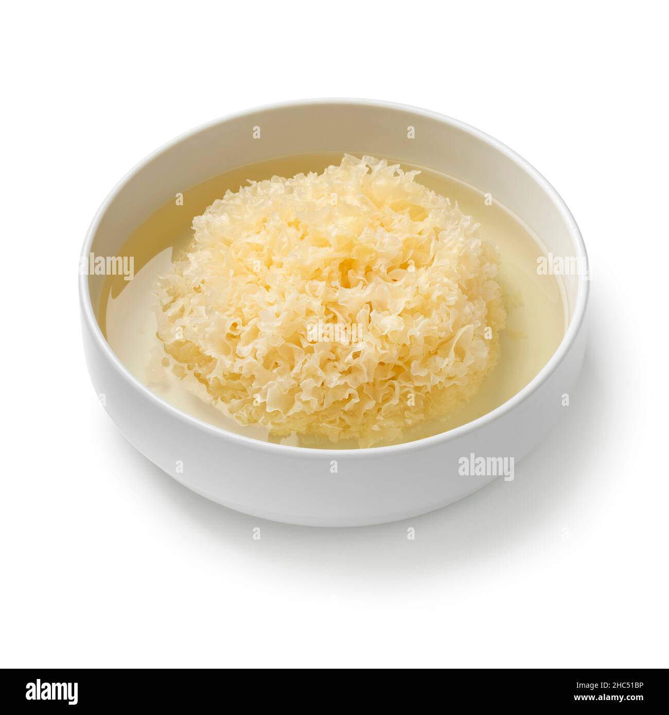 Soaking a whole dried white fungus in water in a bowl close up isolated on white background Stock Photo