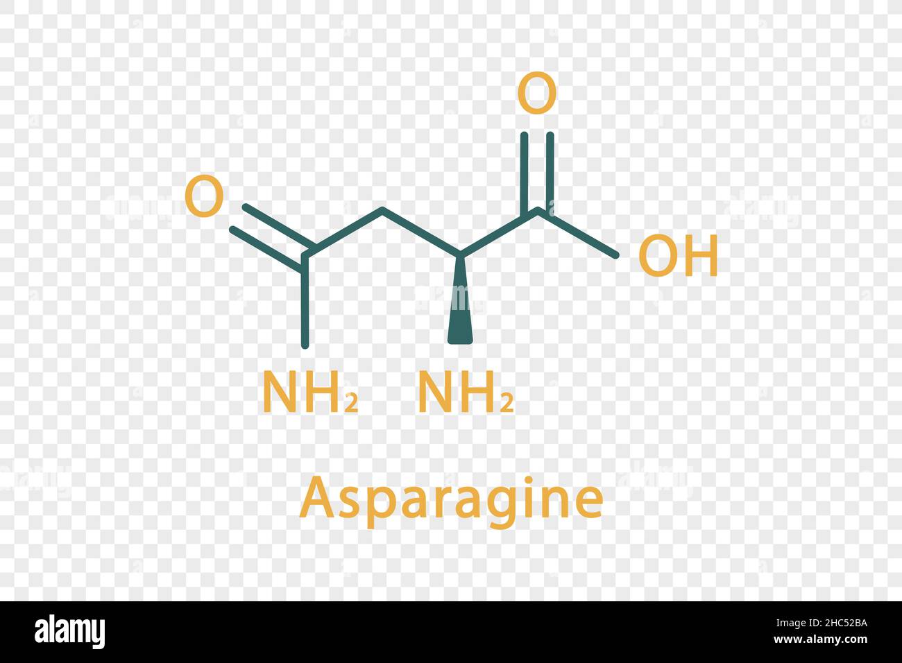 Asparagine chemical formula. Asparagine structural chemical formula isolated on transparent background. Stock Vector
