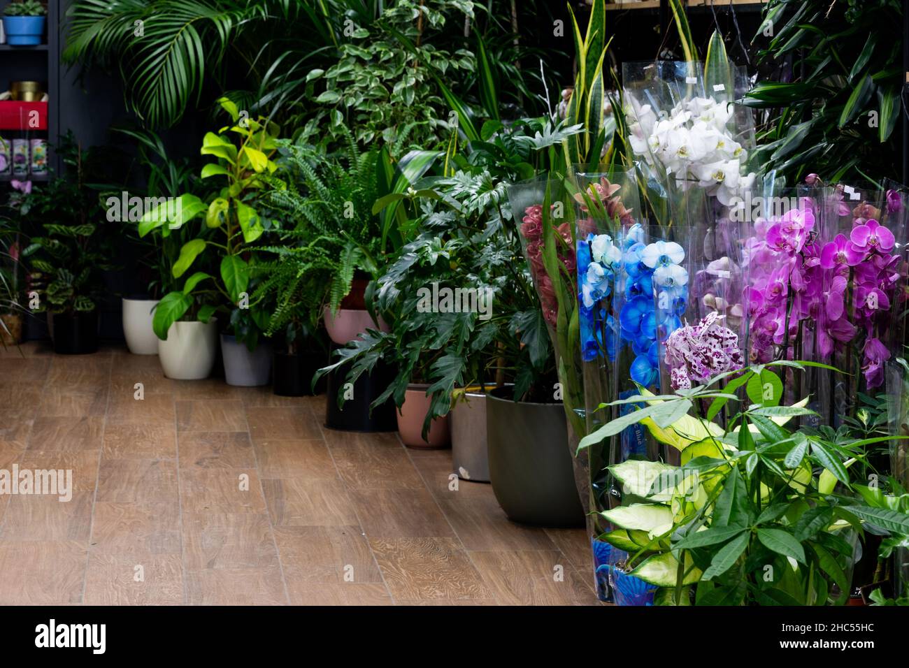 shop selling natural flowers and potted plants Stock Photo Alamy