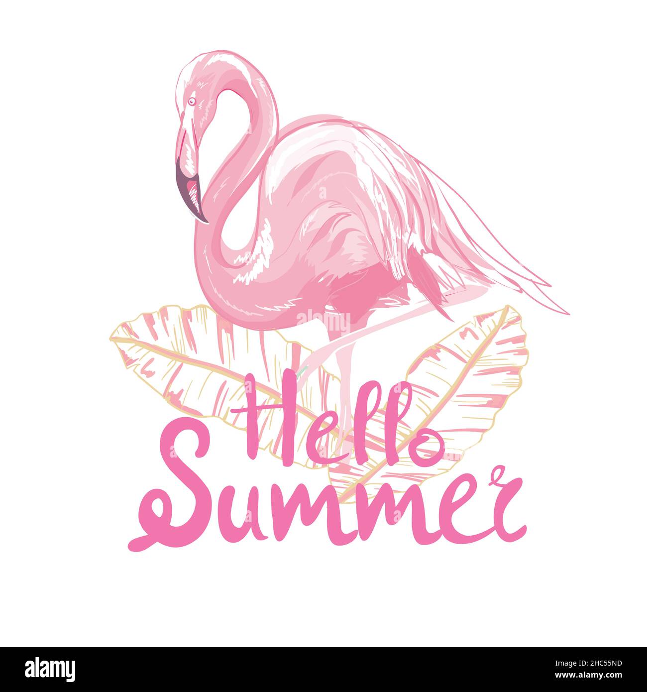 Pink flamingo vector illustration Stock Vector Image & Art - Alamy
