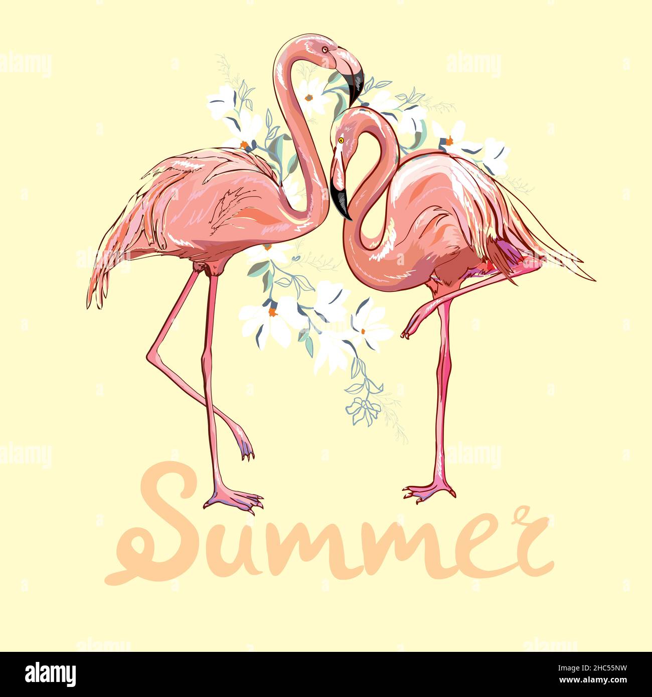 Pink flamingo vector illustration Stock Vector Image & Art - Alamy